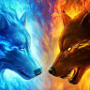 Meet your Posher, Kat